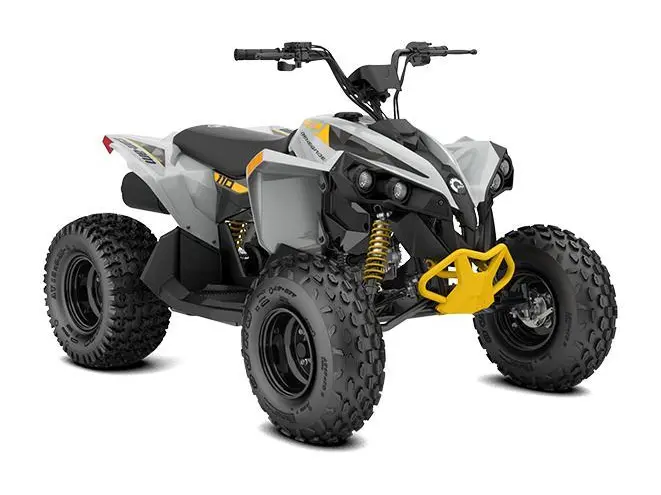 2026 Can-Am Renegade 110 EFI