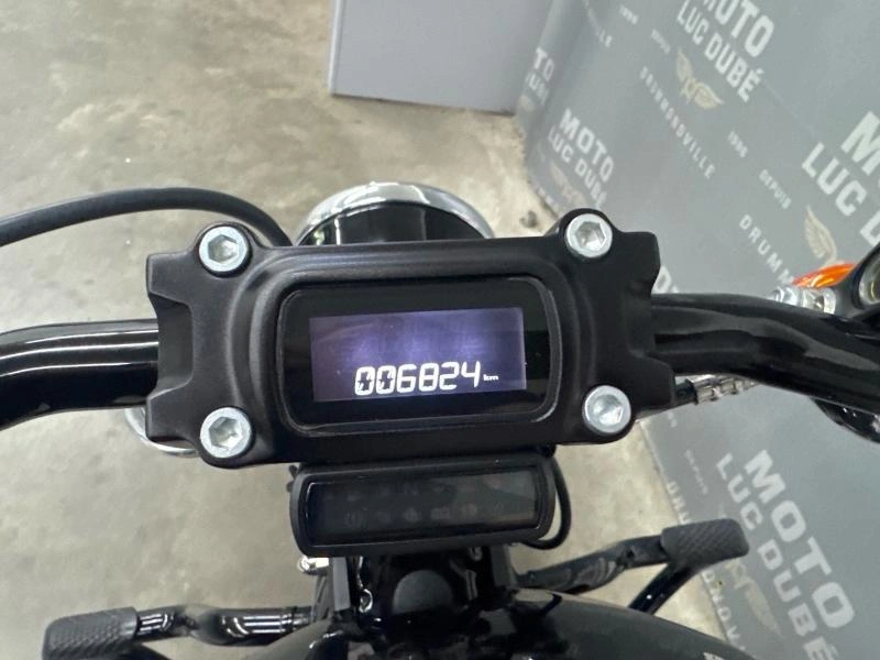 Harley-davidson Fxst Softail Standard 2023