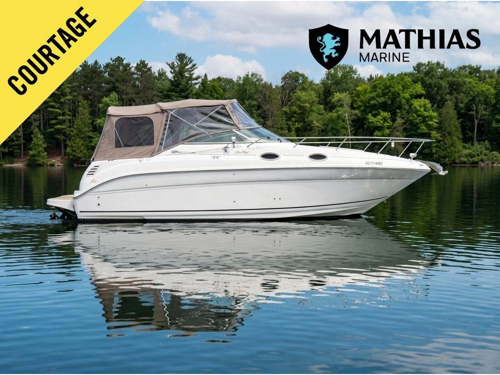 Sea Ray Sundancer 260 1999
