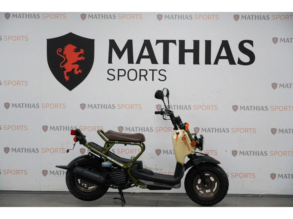 Honda Ruckus Demo 2024