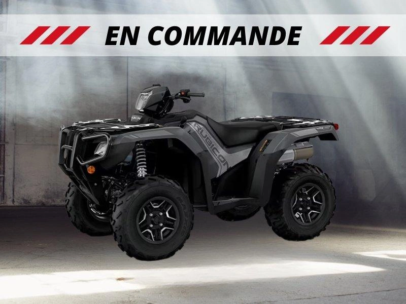 2027 Honda Rubicon 520 Dct Irs Eps Deluxe