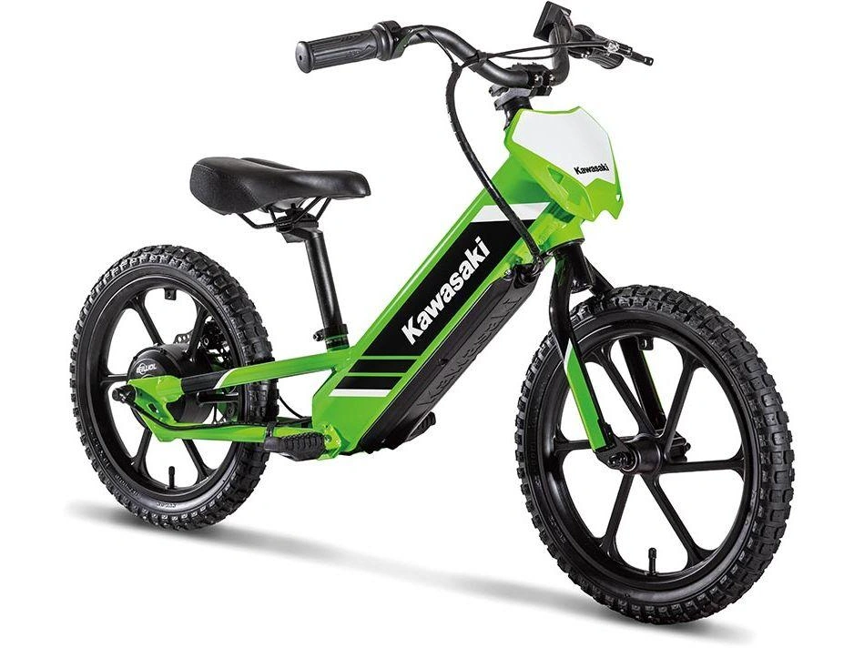 2027 Kawasaki Elektrode 16