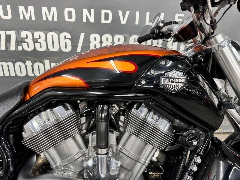 Harley-davidson Vrscf V-rod Muscle 2014