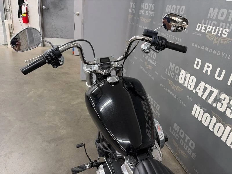 Harley-davidson Fxst Softail Standard 2021