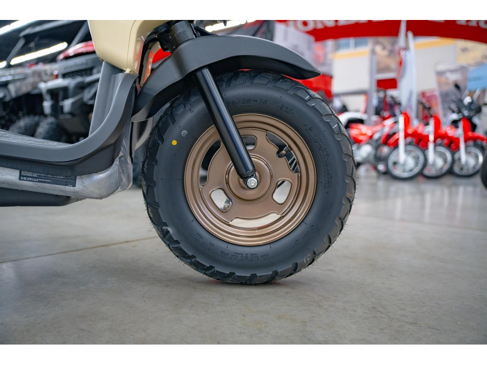 2024 Honda Ruckus