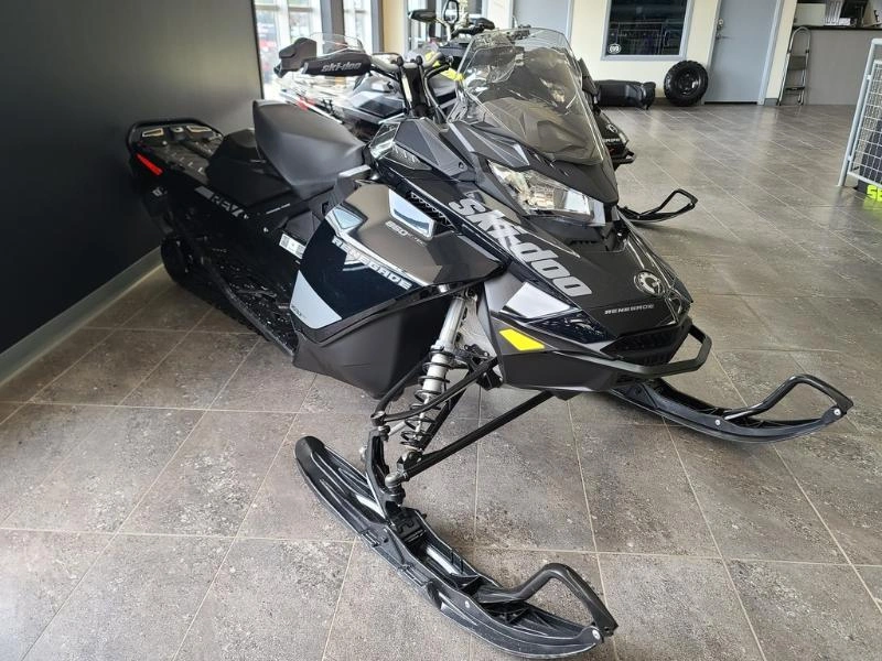 Ski-doo Ren Adr 850 Es Rips 1.25 N 2020