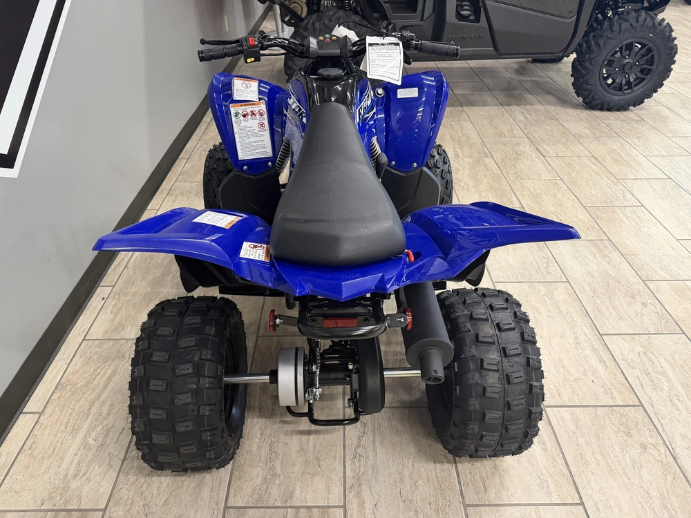 2026 Yamaha Raptor 110