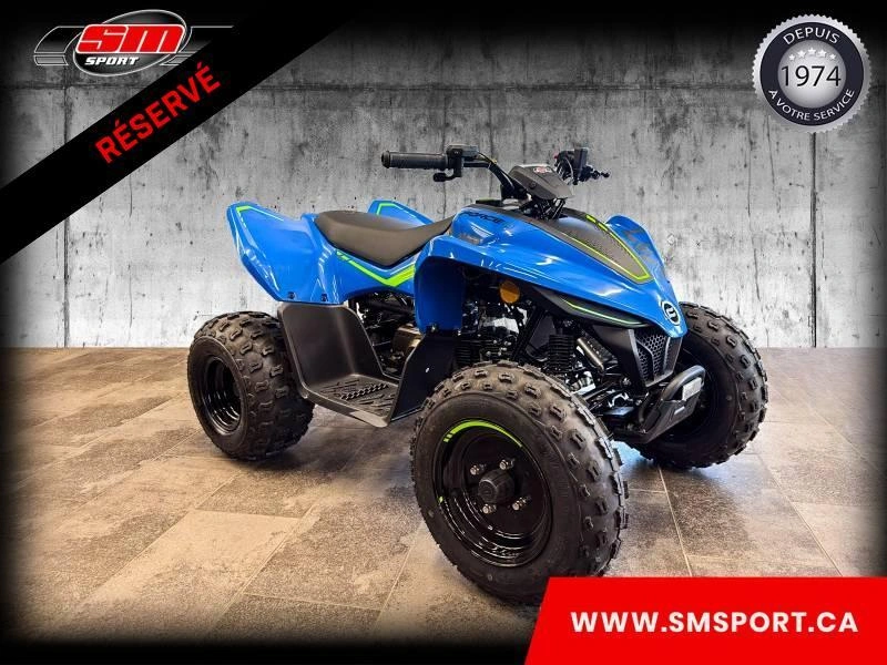 2026 Cfmoto Cforce 110 Classic