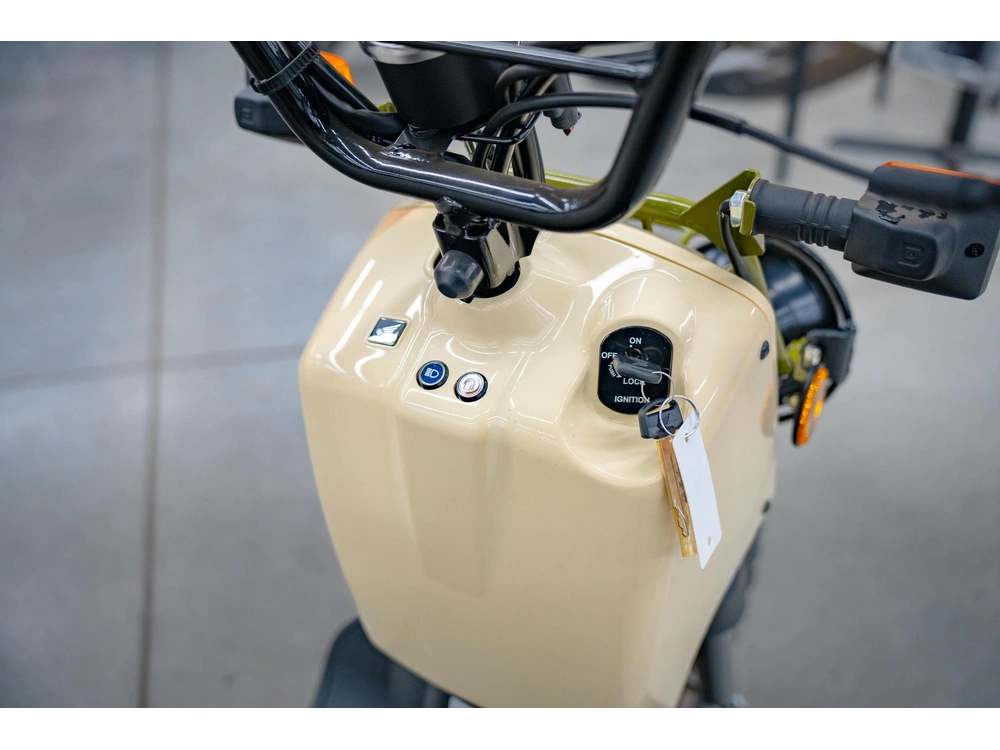 2024 Honda Ruckus