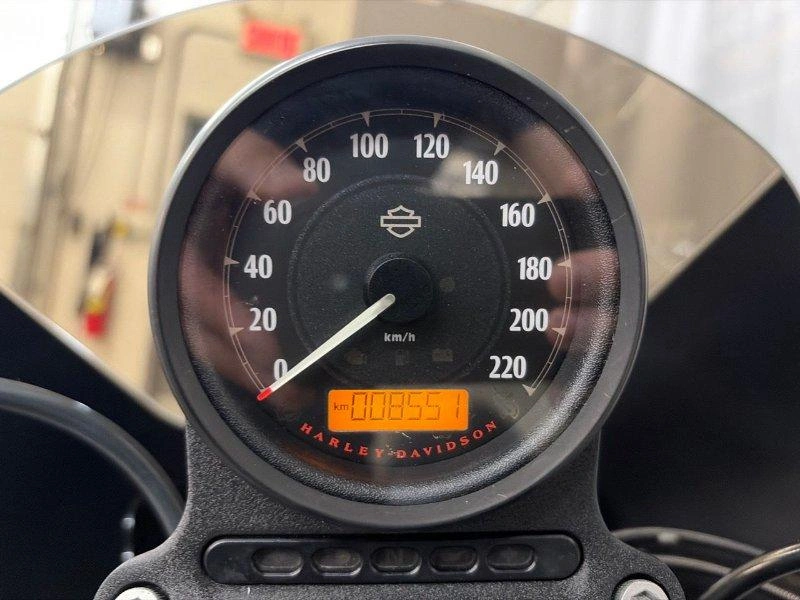 Harley-davidson Xl883n Iron 883 2019