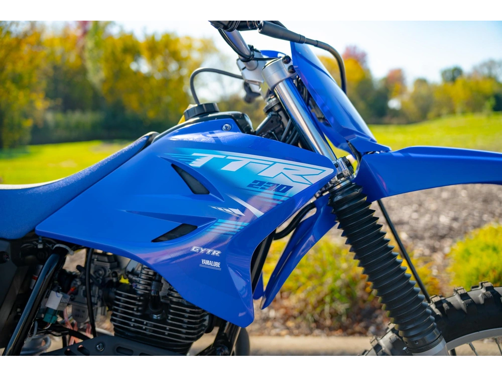 2027 Yamaha Tt-r 230