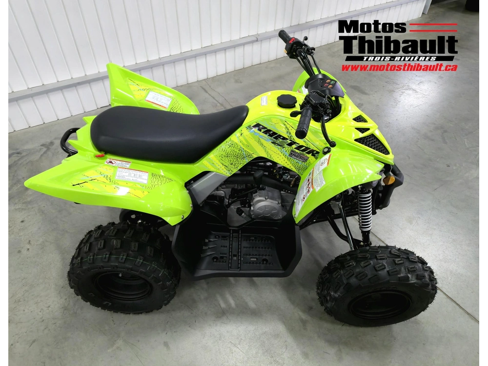 2026 Yamaha Raptor 110