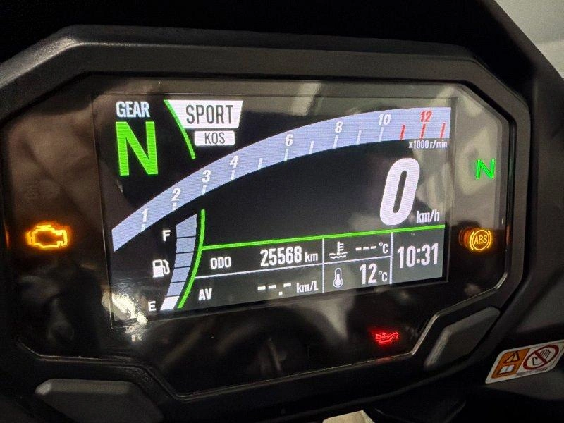 Kawasaki Ninja 1000 Sx 2024