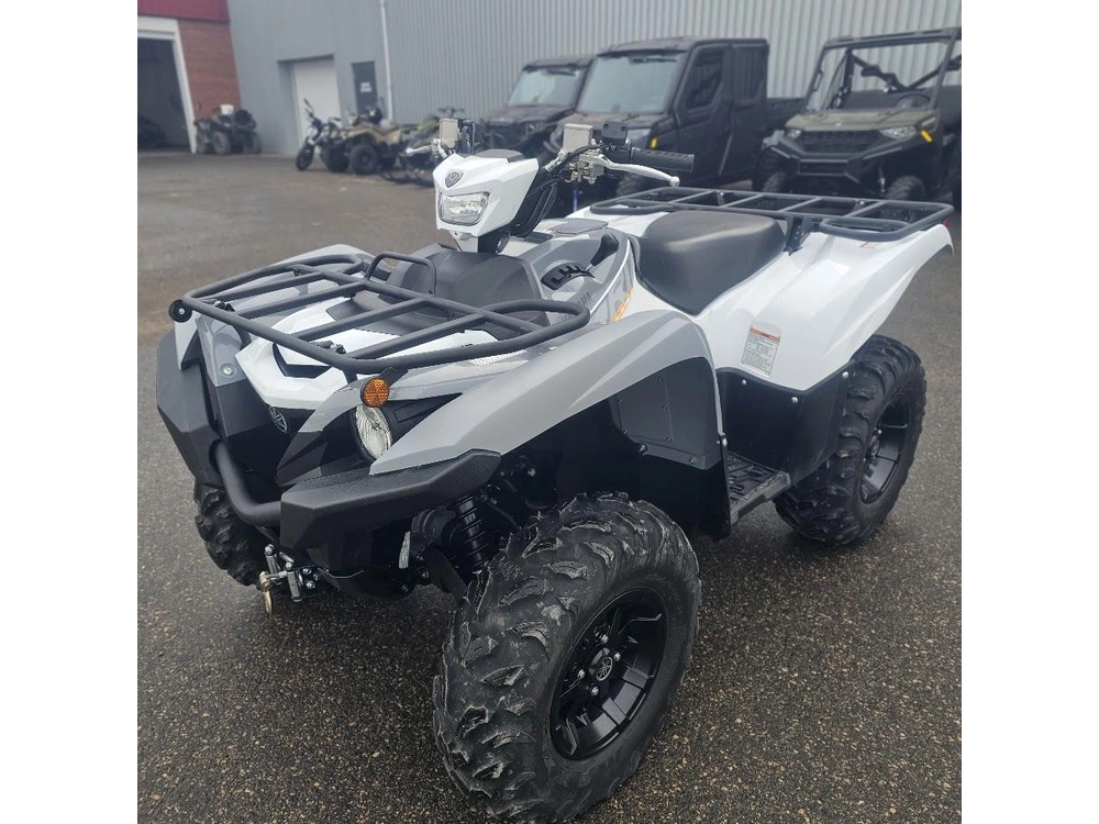 2024 Yamaha Grizzly Eps