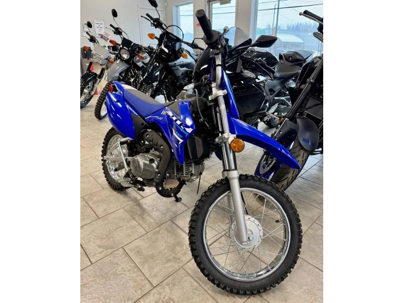 Yamaha Tt-r110 2026