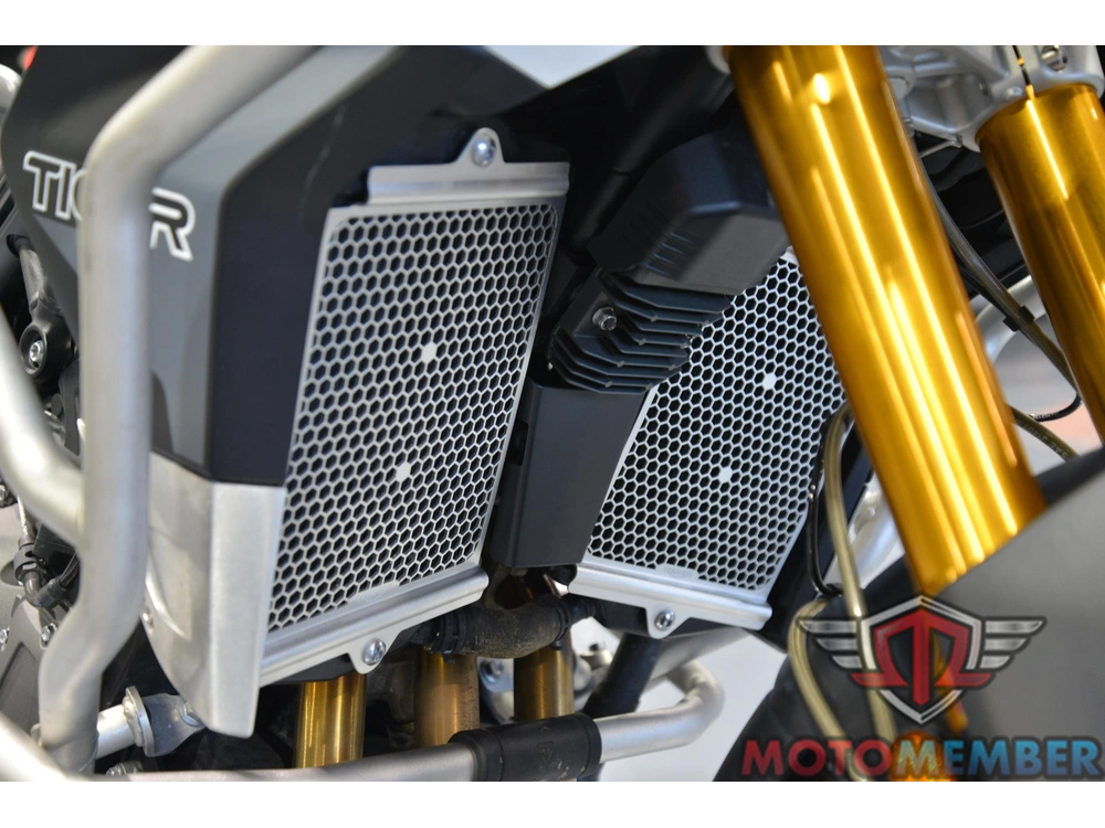 2020 Triumph Tiger 900 Rally Pro