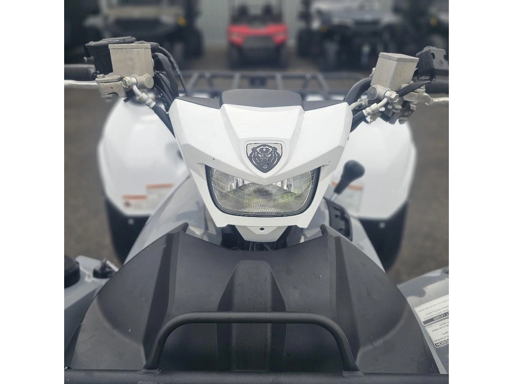 2024 Yamaha Grizzly Eps