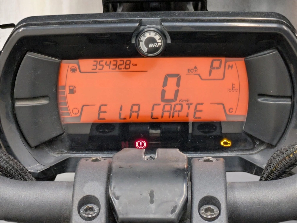 Can-am Ryker 900 Rally 2019