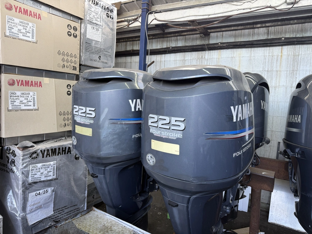 2003 Yamaha Lf225