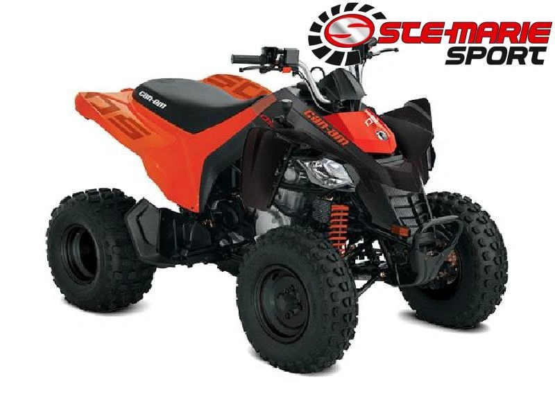 Can-am Ds 250 2027
