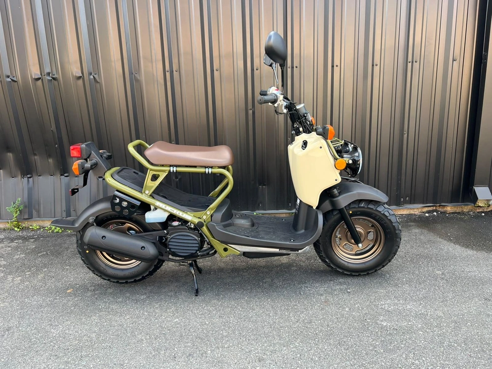 2024 Honda Ruckus