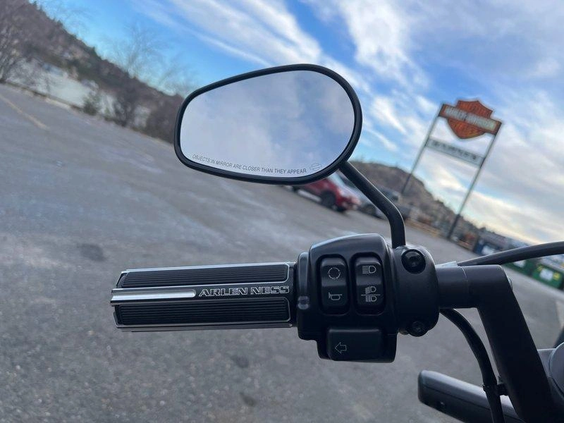 2019 Harley-davidson Fxdrs - Fxdr™ 114 alt