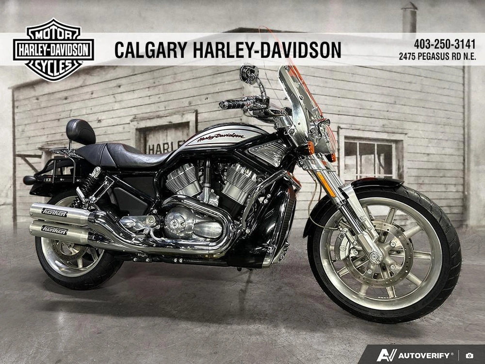 2006 Harley-davidson Vrscr alt