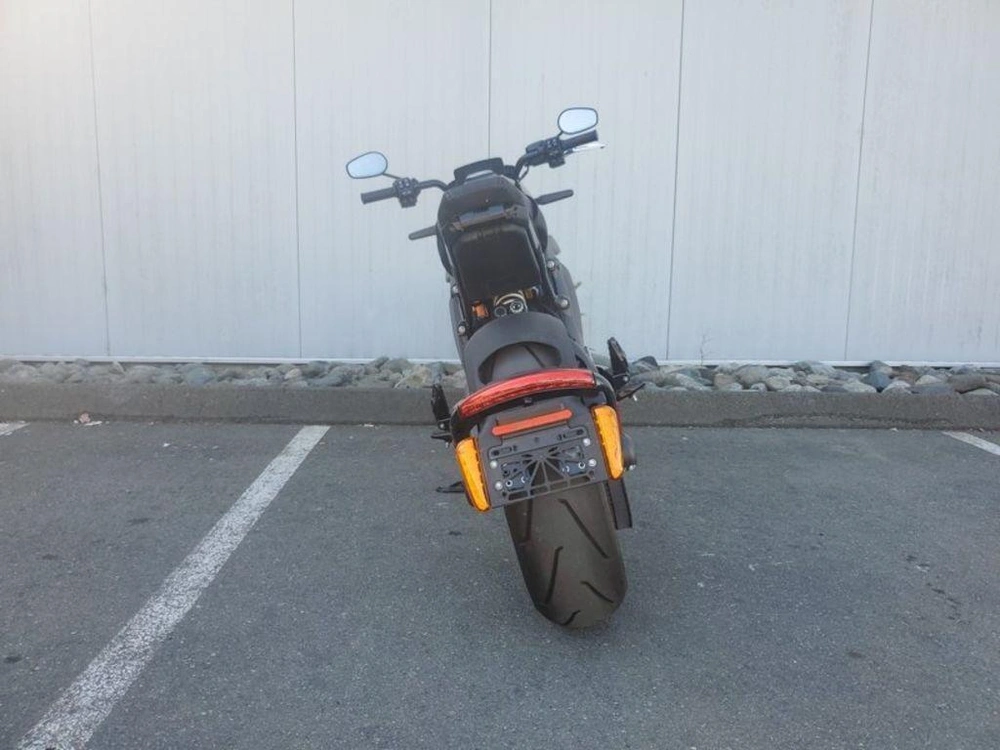 2020 Harley-davidson Elw - Livewire™ alt