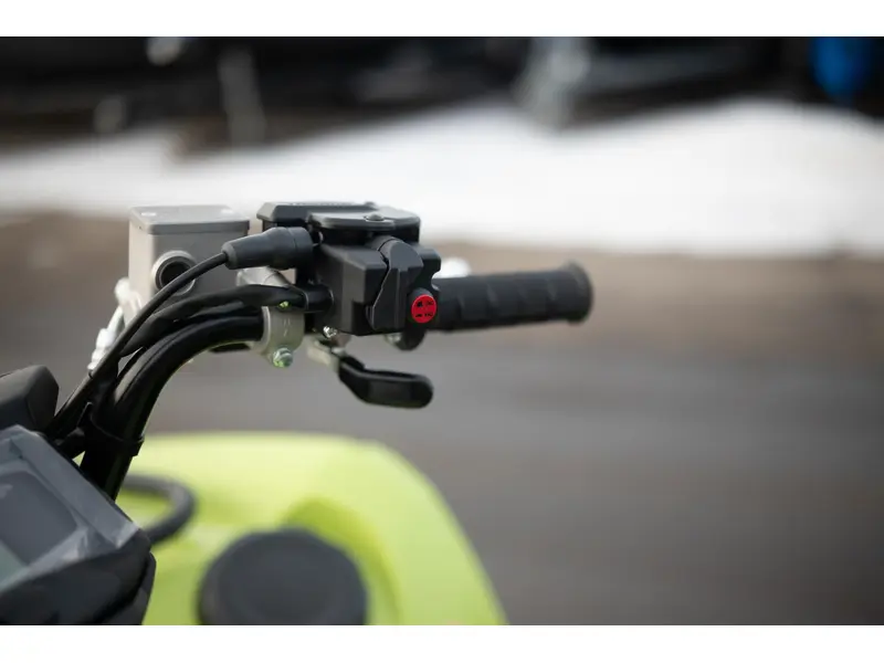 Yamaha GRIZZLY 700 EPS 2026