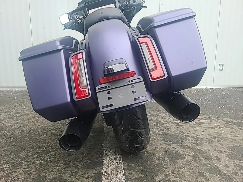 2025 Harley-Davidson FLHX - Street Glide® thumbnail 19