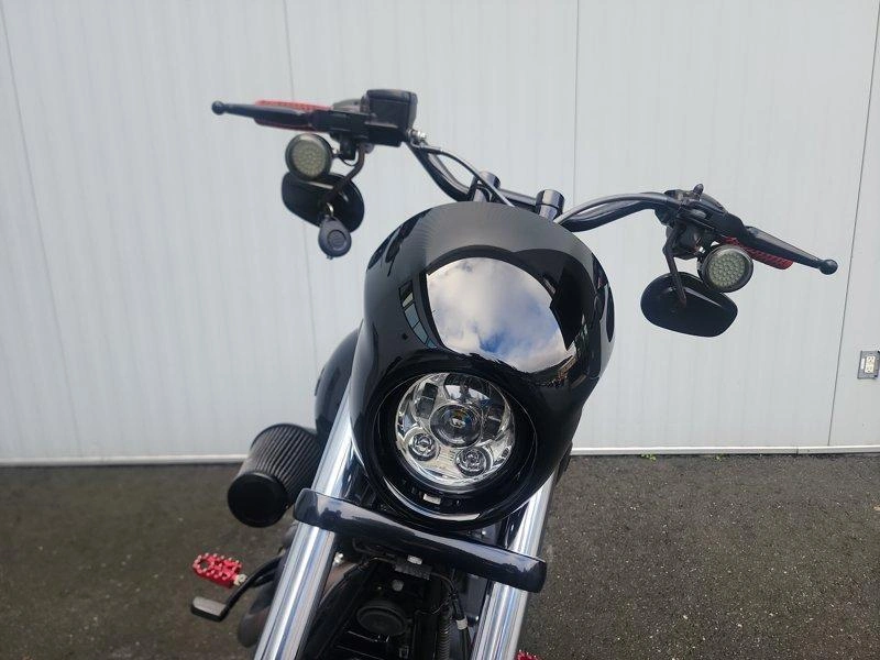 2016 Harley-davidson Fxdls - Low Rider® S alt