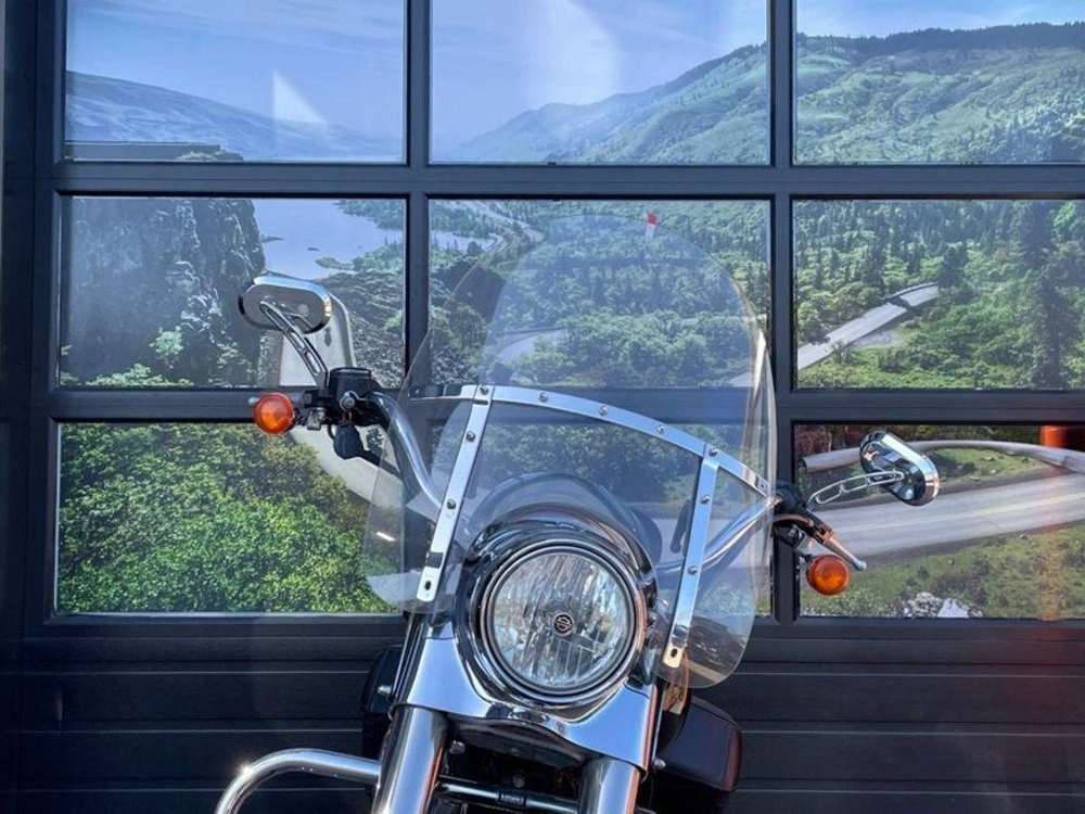 2005 Harley-davidson Flhr - Road King™ alt