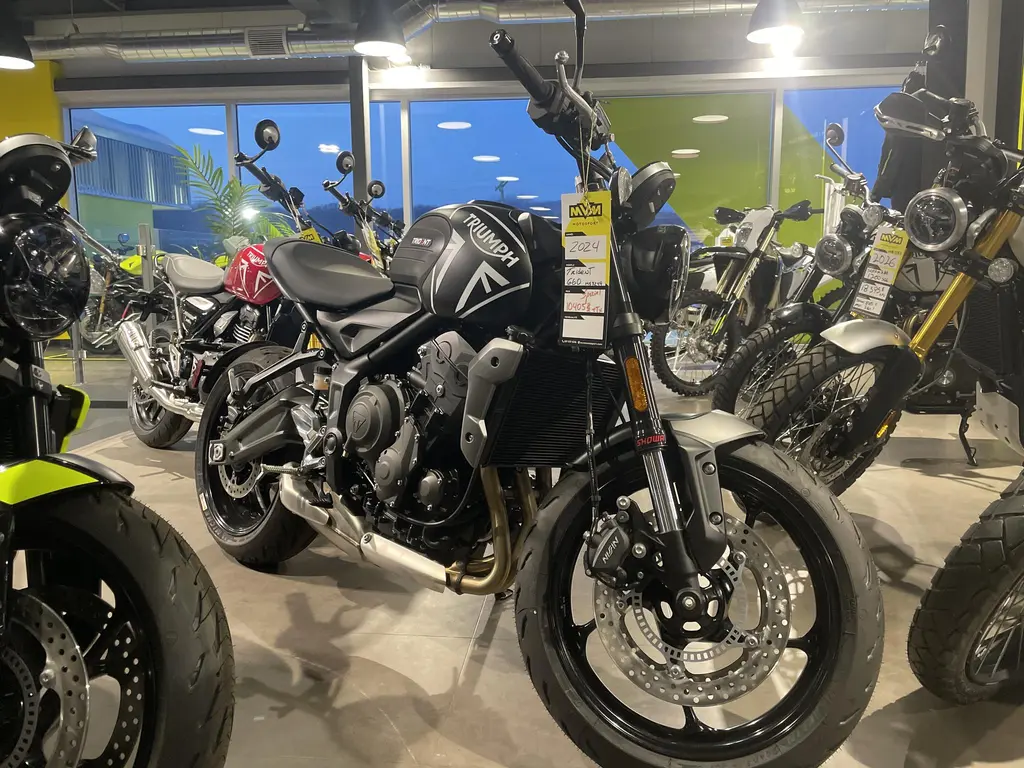 Triumph TRIDENT 660 2024