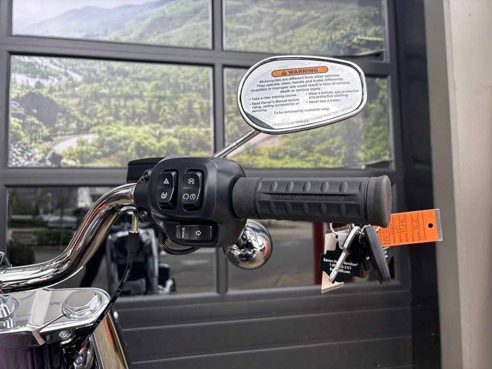 2025 Harley-davidson Flfb - Fat Boy™ alt