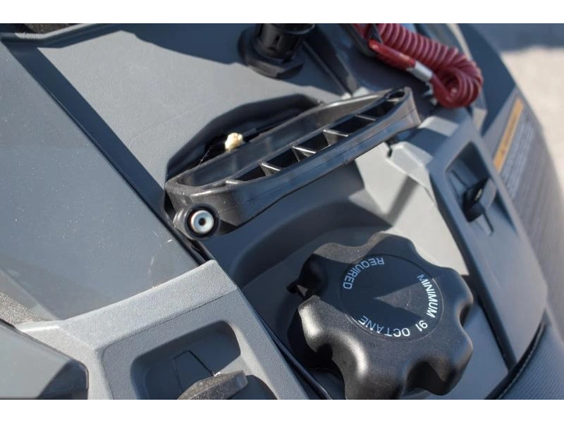 Arctic Cat Riot 8000 2022 alt