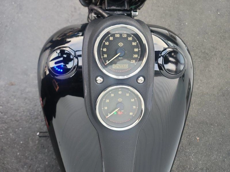 2016 Harley-davidson Fxdls - Low Rider® S alt