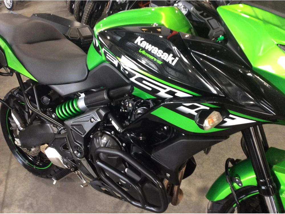 Kawasaki Versys 650 2018 alt