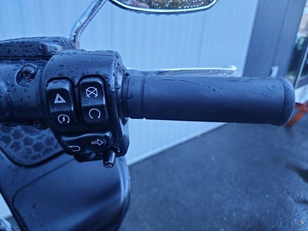 2023 Harley-davidson Fltrx - Road Glide™ alt