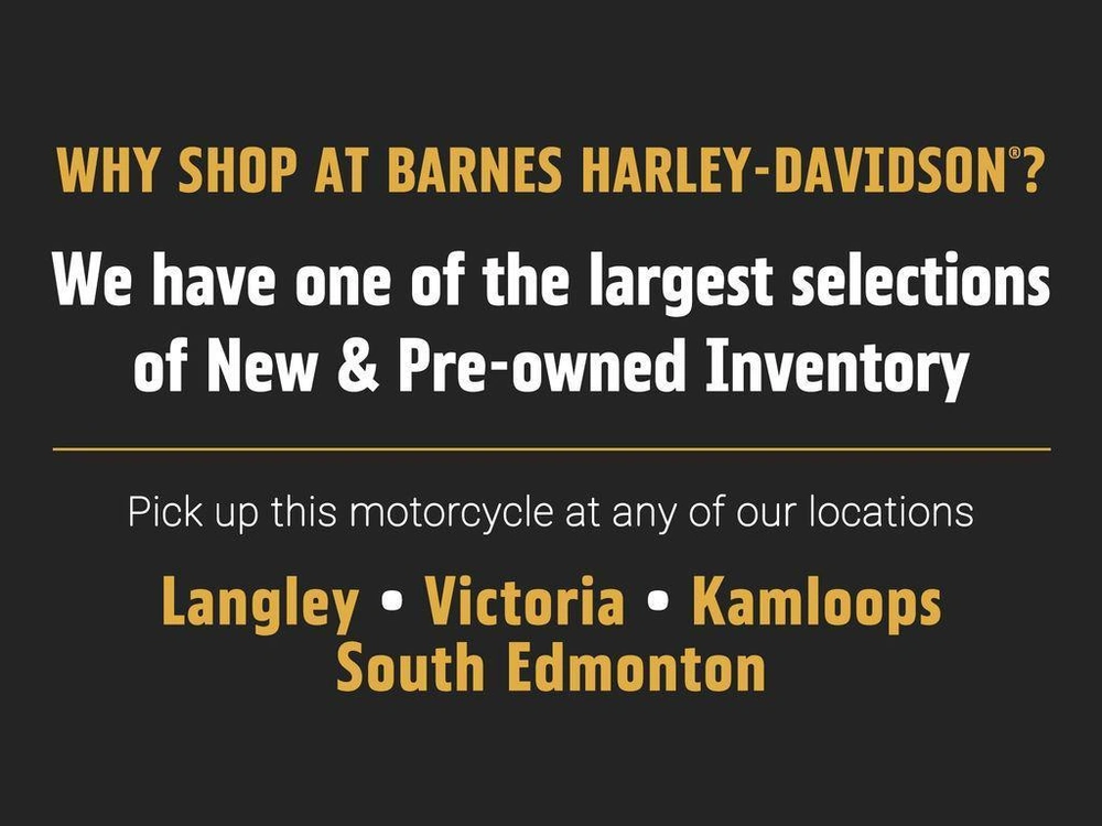 2024 Harley-davidson Flhxse - Cvo™ Street Glide™ alt