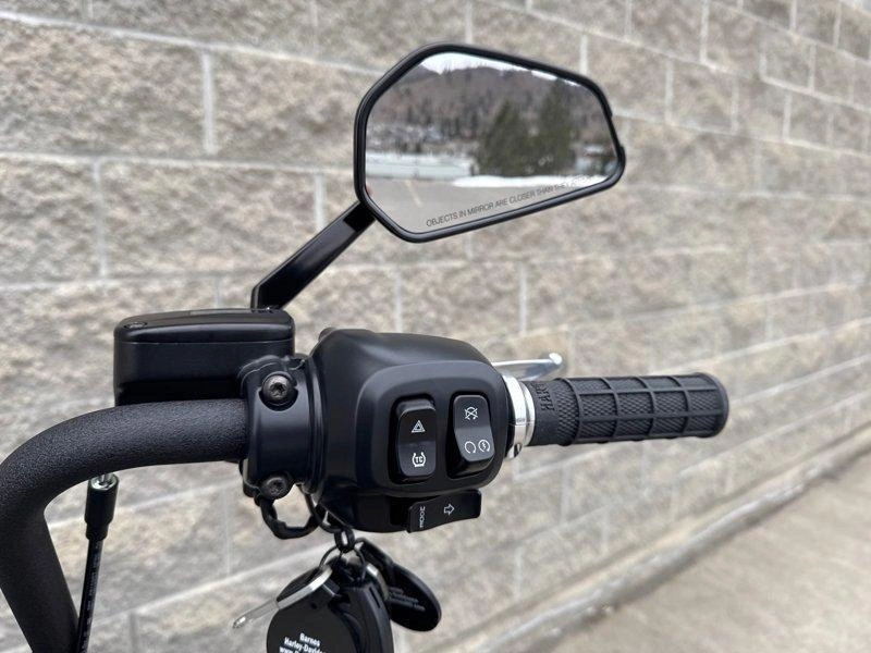 2026 Harley-davidson Fxbb - Street Bob® alt