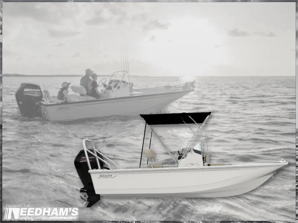 2026 Boston Whaler 170 Montauk