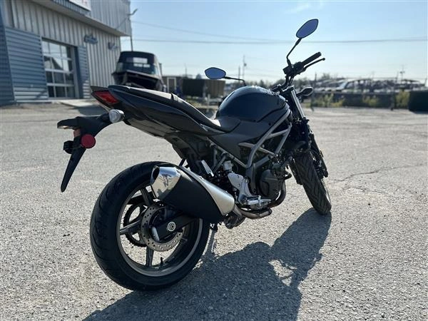 Suzuki Sv650 A/x 2023 alt