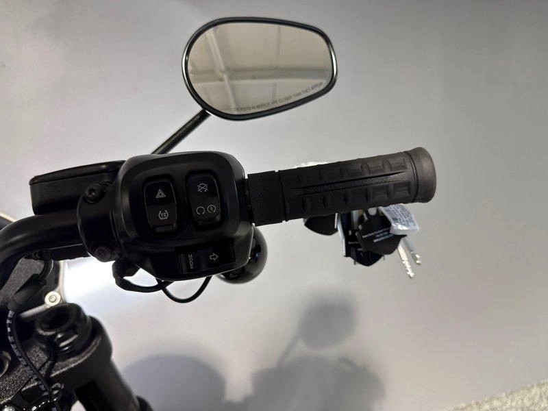 2026 Harley-davidson Fxlrs - Low Rider® S alt