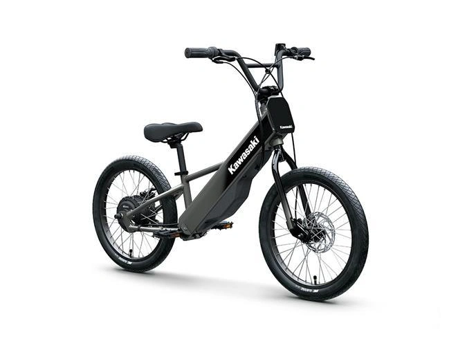 Kawasaki Elektrode 20fs 2025 alt