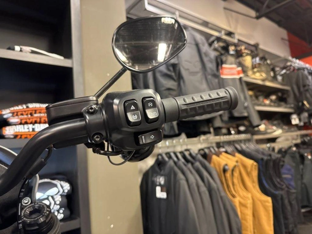 2025 Harley-davidson Fxlrs - Low Rider® S alt