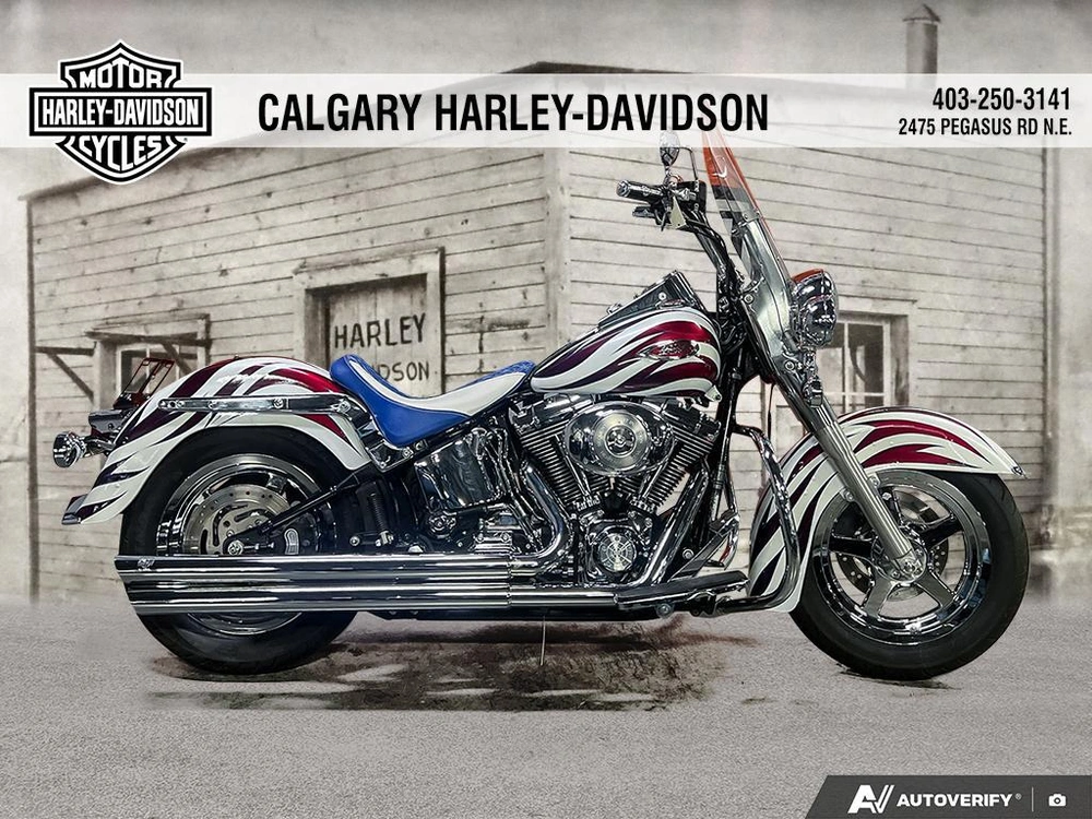 2004 Harley-davidson Flstci Heritage Classic alt