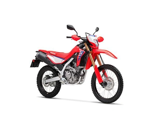 2025 Honda Crf300l alt