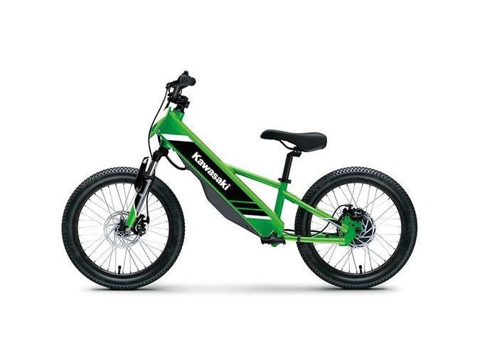 Kawasaki Elektrode 20 2025 alt