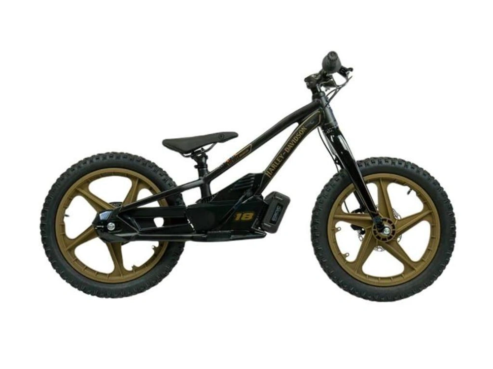 2023 Stacyc H-d 18edrive alt