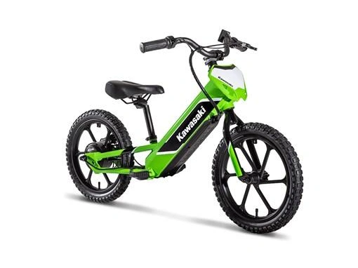 Kawasaki Elektrode 2024 alt